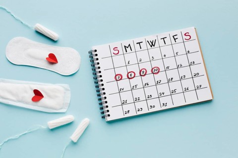 Menstrual calendar tampons