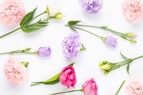 Pale bright coloured flower composition