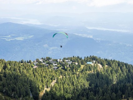 Paraglider