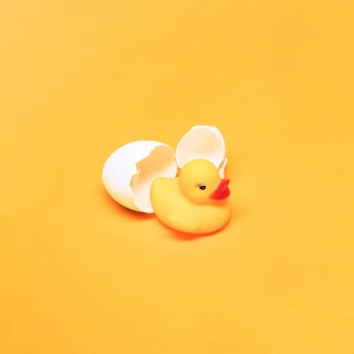 Yellow still life bath duck egg