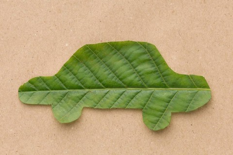 Car leaf shape