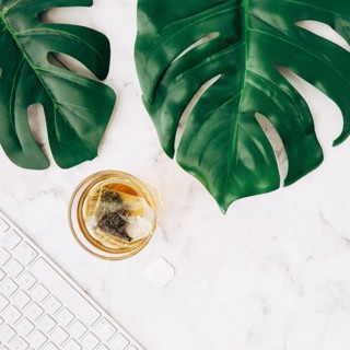 Tea bag glass transparent cup green monstera leaves keyboard white marble textured backdrop