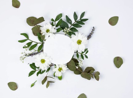 Circular white frame white daisy baby s breath flowers
