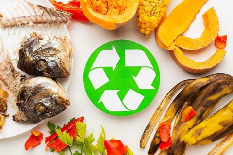 Cooked fish leftovers other leftover food recycle symbol