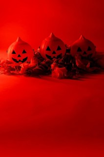 Halloween pumpkins on a red background