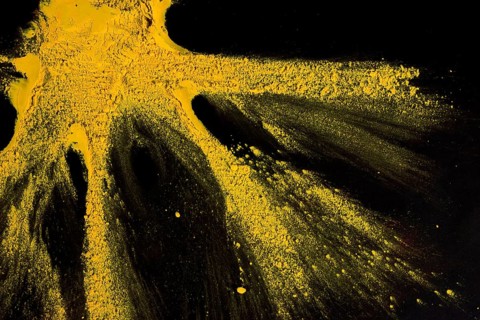 Yellow powder color exploding black backdrop