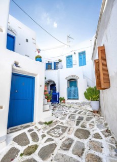 White Cycladic houses with blue doors and windows and flower pots
