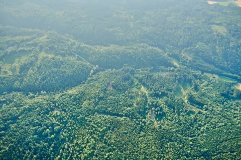 Aerial view over the forests near Woerth an der Donau