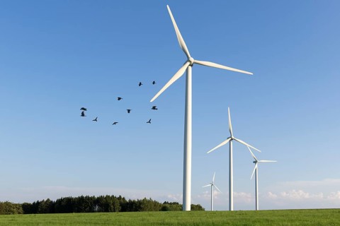 Wind turbine