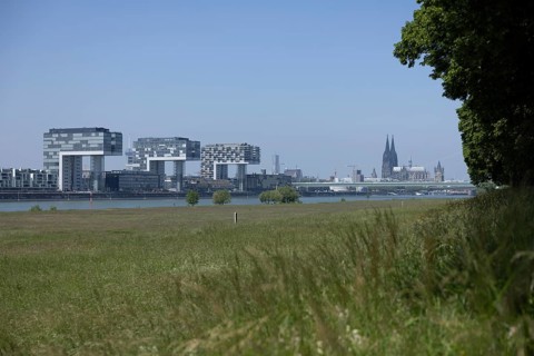 City view of Cologne over Poller Wiesen