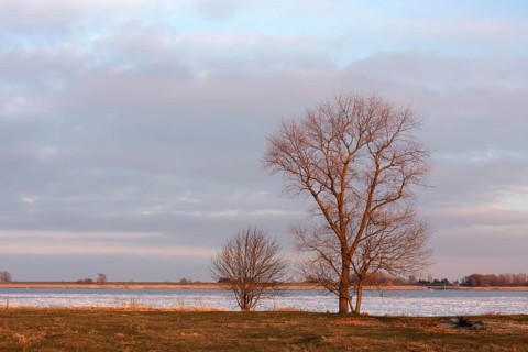 Ice flow on the Weser after the shutdown of the Unterweser nuclear power plant