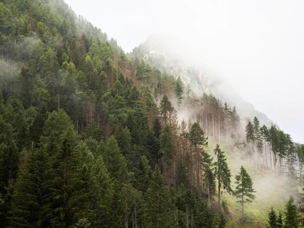 Morning fog drifts over a mountain ridge
