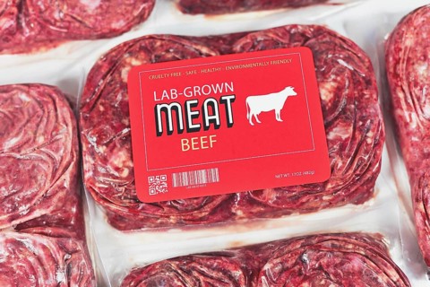 Lab grown cultured meat concept for artificial in vitro cell culture meat production with frozen packed raw meat with made up label