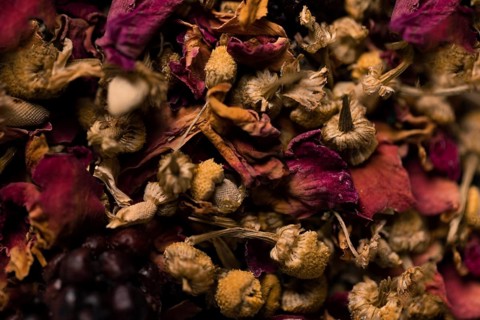 Close up collection aromatic flowers