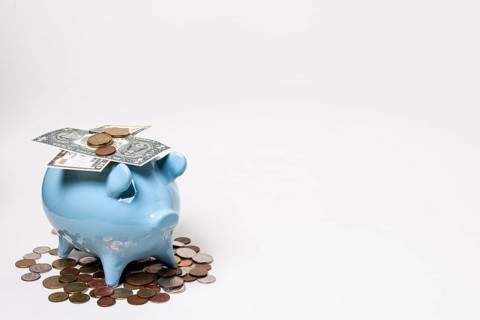 Blue piggy bank with money coins