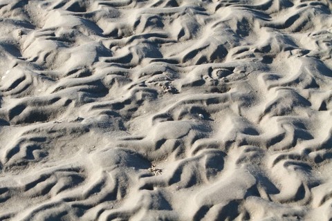 Ripple marks in the mudflats off Minsener Oog Island