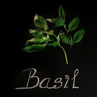 Close up basil writing