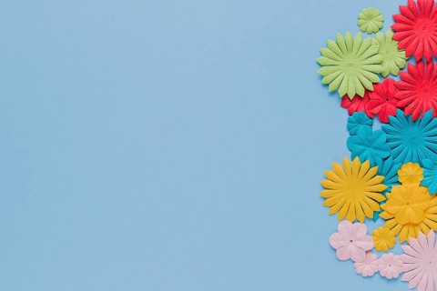 Beautiful colorful flower cutout blue background
