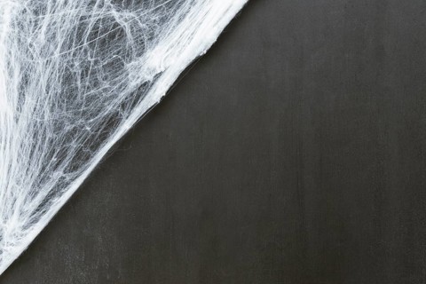 Composition halloween with cobweb