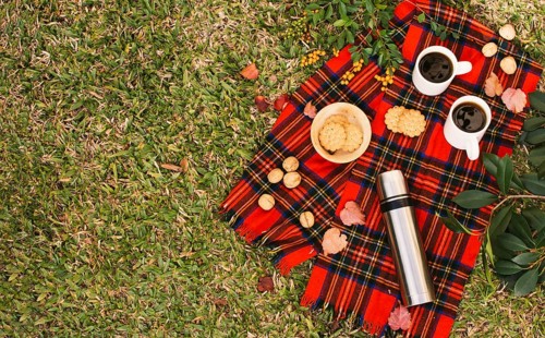 Top view minimalist picnic with copy space