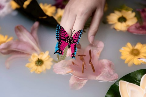 Close up butterfly therapeutical flowers