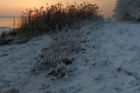 Weser beach in winter