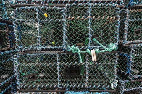 Lobster cages