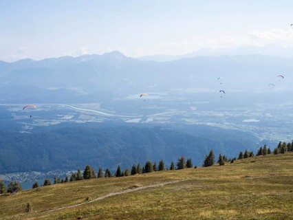 Paraglider