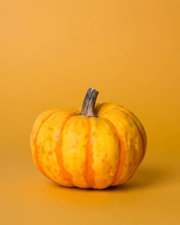 Monochromatic still life composition with pumpkin
