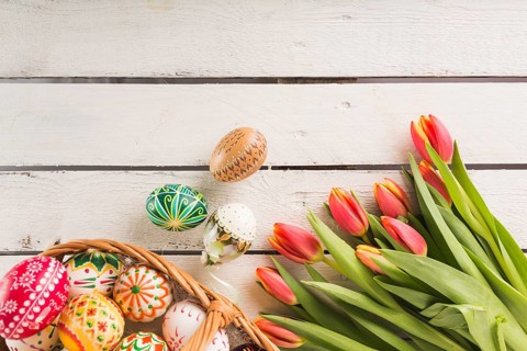 Eggs basket near tulips