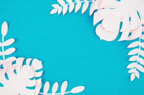 White monstera foliage blue background