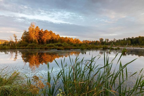 Moorsee