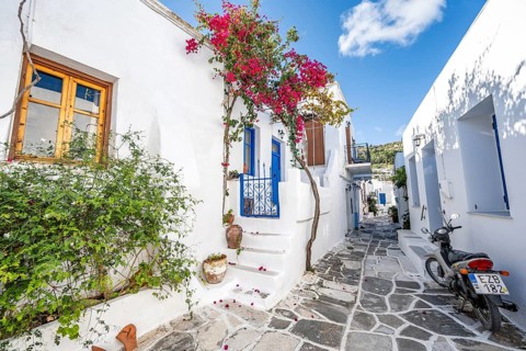 White Cycladic houses with blue doors and windows and flower pots with red bougainvillea