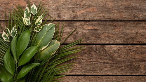 Top view beautiful plant leaves wooden surface
