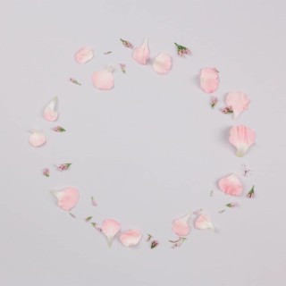 Circular frame made with petals isolated white background