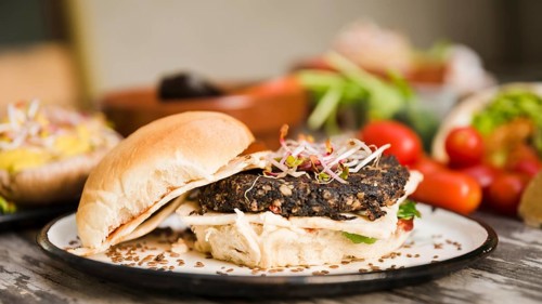 Veggie quinoa burger with sprouts flax seeds white plate