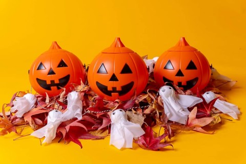 Halloween orange pumpkins on a yellow studio background