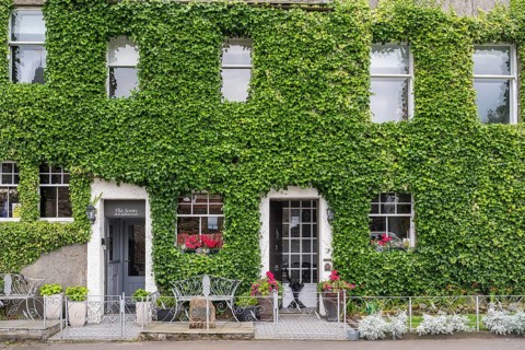 House facade overgrown with common ivy