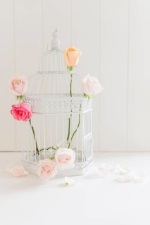 Decorative colorful roses cage