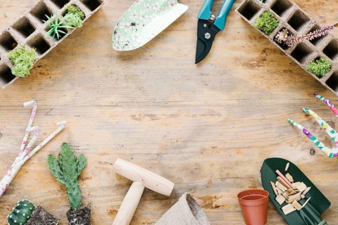 Gardening equipments peat tray plastic pot wooden backdrop