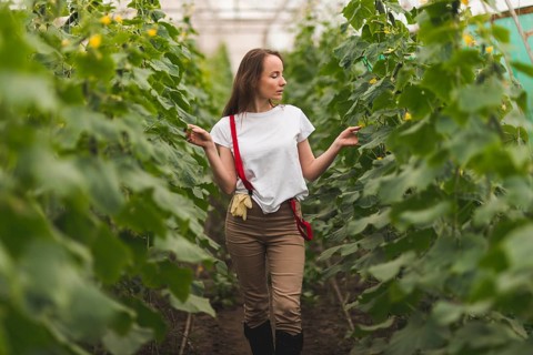 Woman taking care plants greenhouse