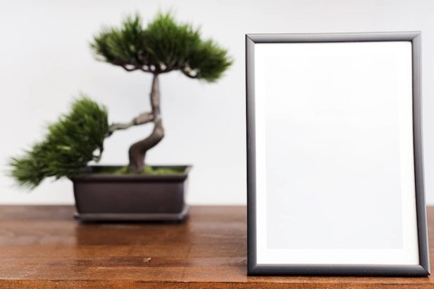 Close up picture frame with bonsai