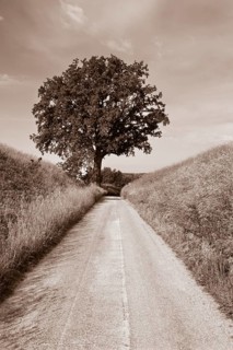 Sepia-coloured