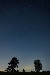 Starry sky in the evening