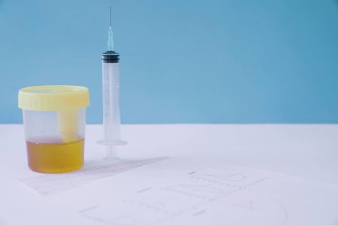 Urine sample syringe