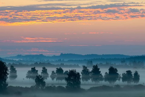 Birch avenue