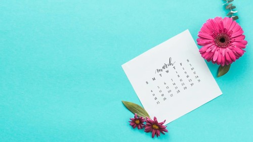 Gerbera flower with march calendar table
