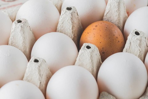 Brown white eggs rack