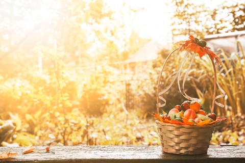 Wicker basket terrace