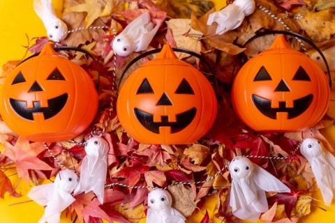 Halloween orange pumpkins on a background of yellow